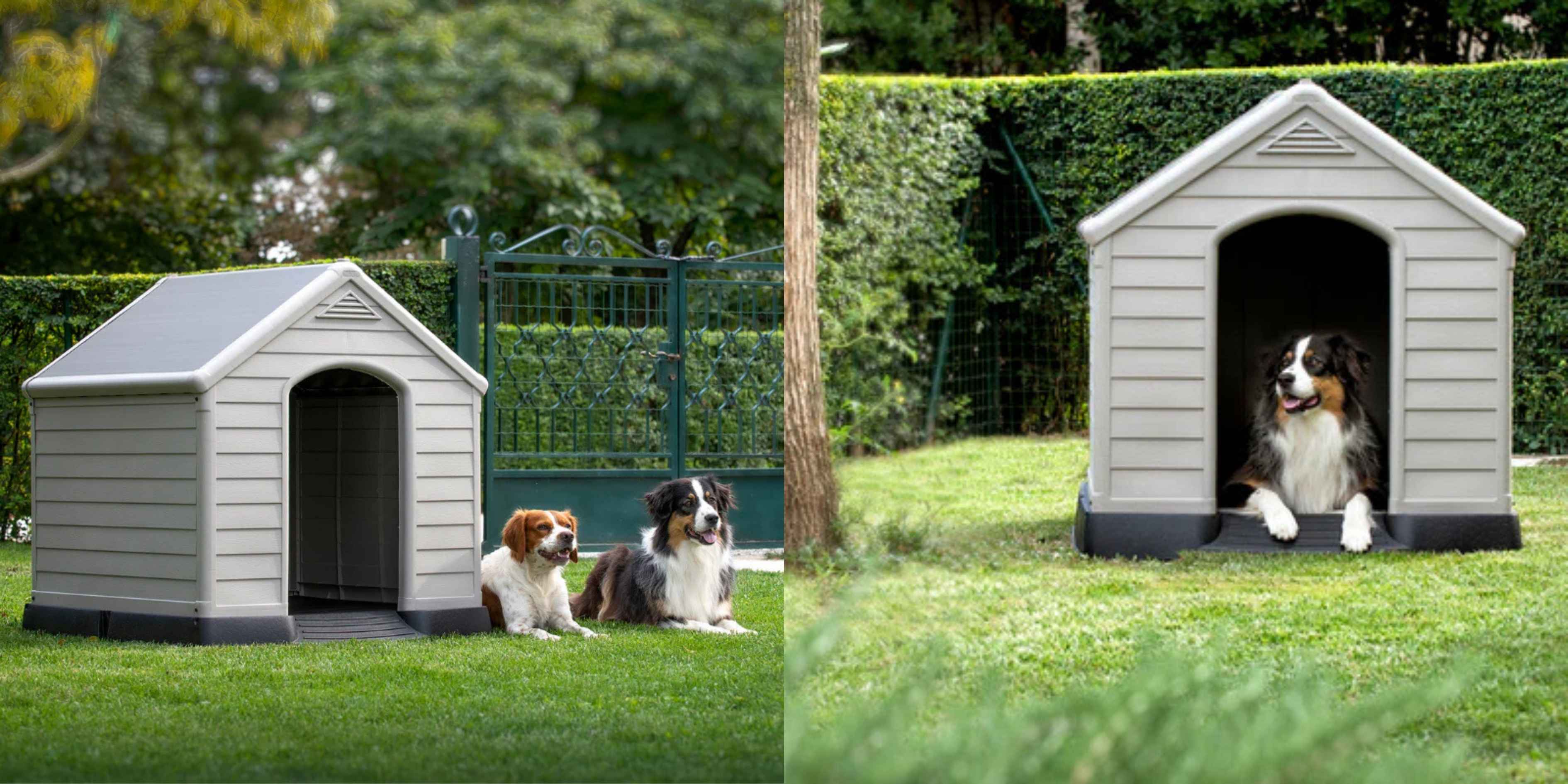 Easy-clean outdoor dog house made from durable resin, ideal for year-round garden use