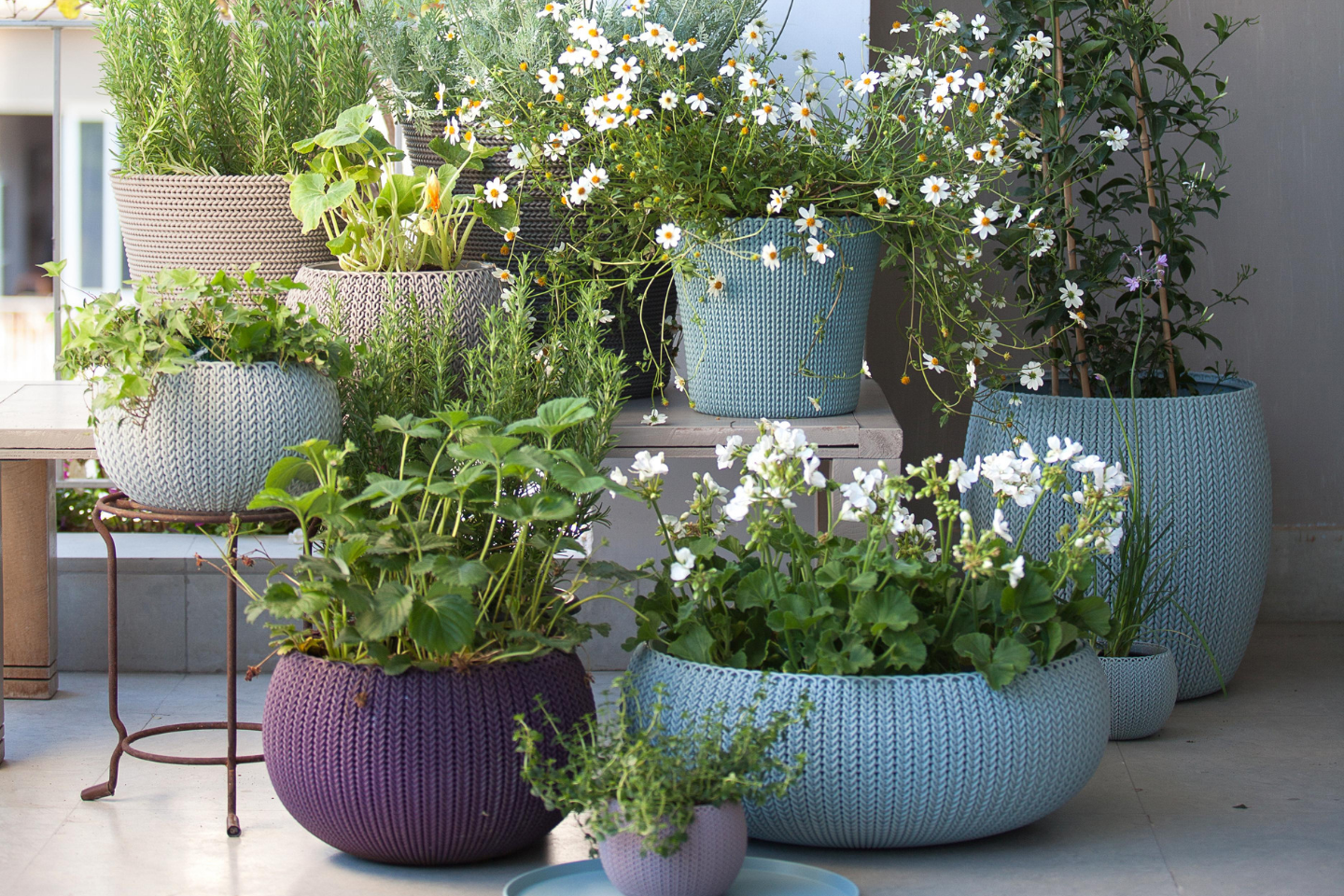LIFESTYLE AND GARDENING