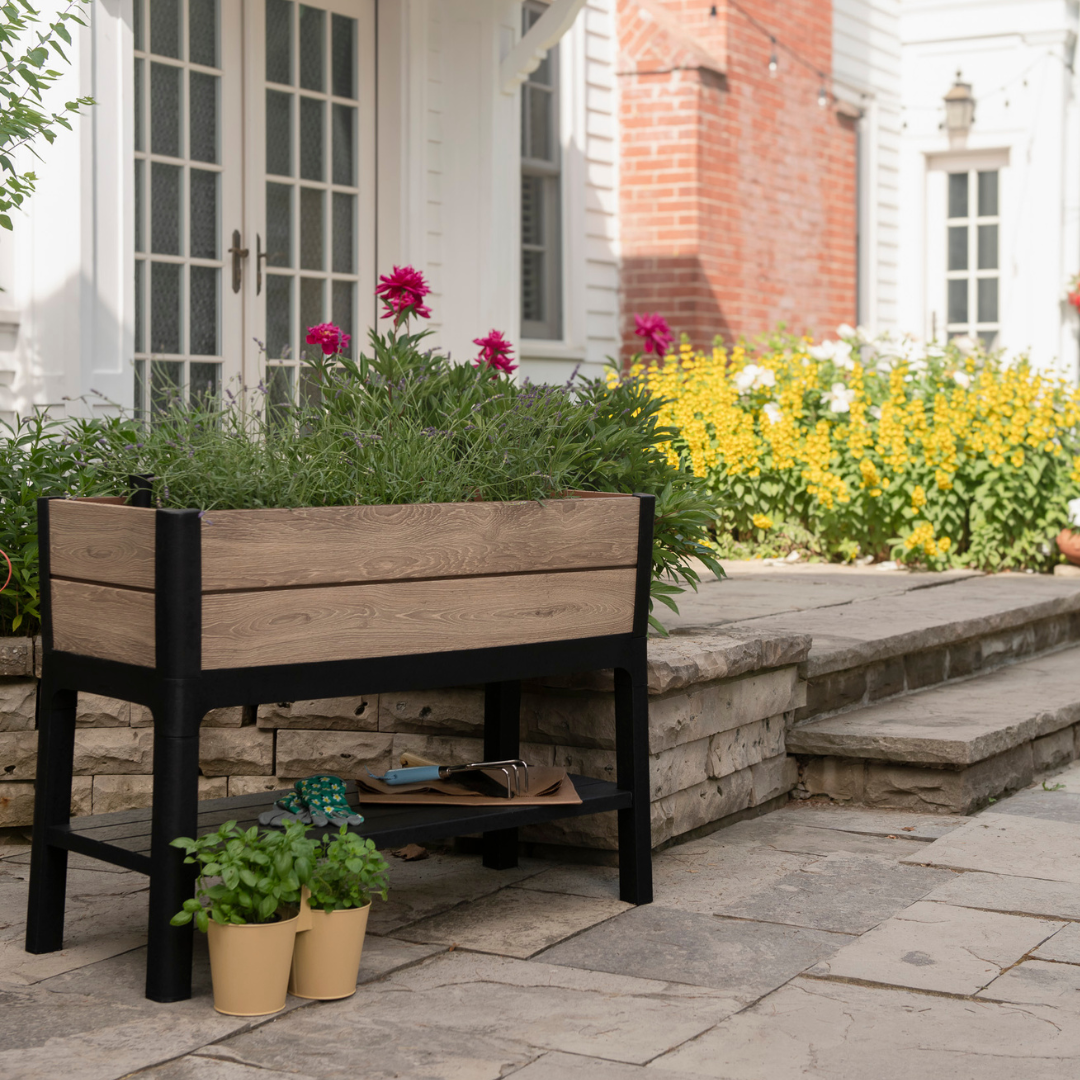 Signature Collection: Garden Bed Ashwood