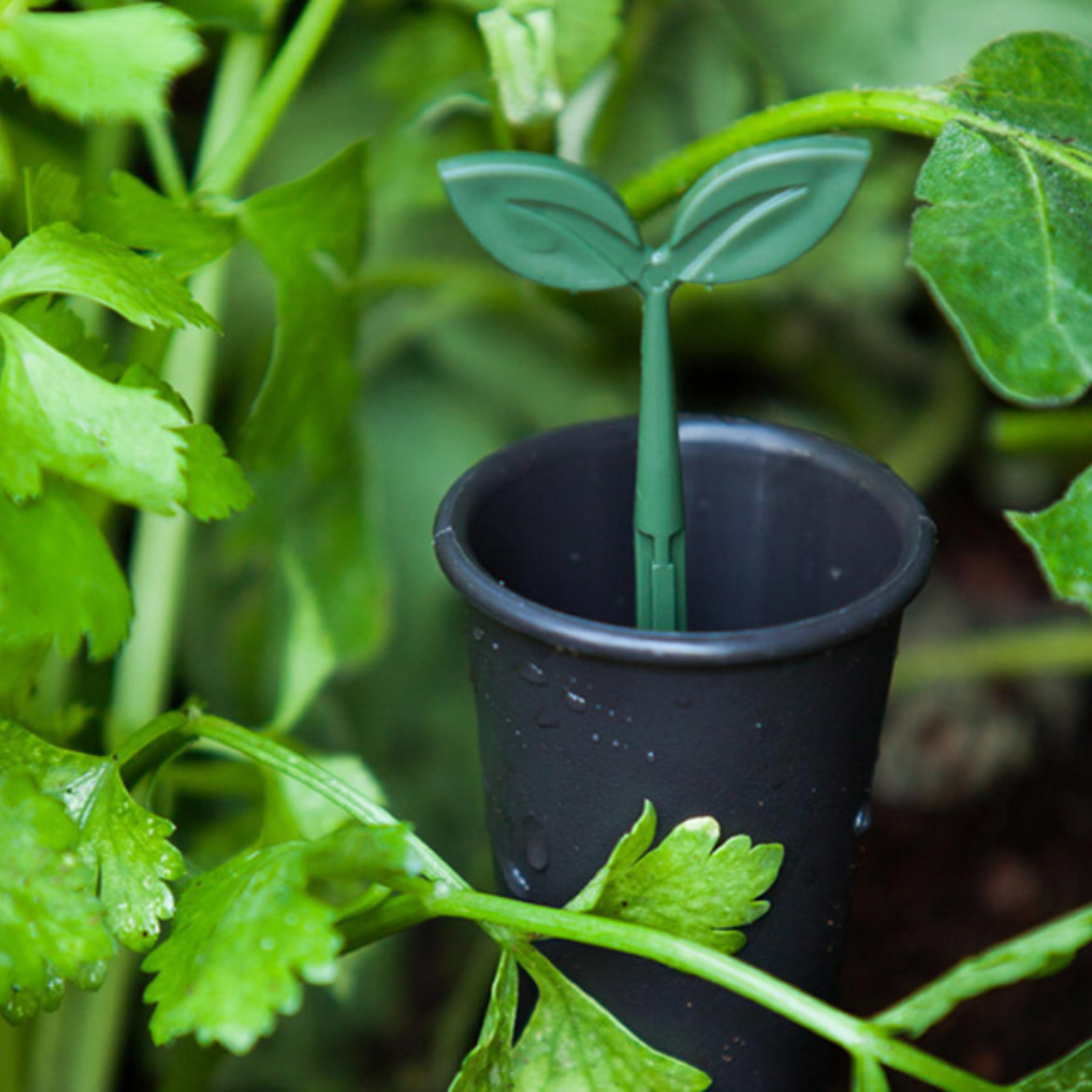 Easy Grow Raised Garden Bed