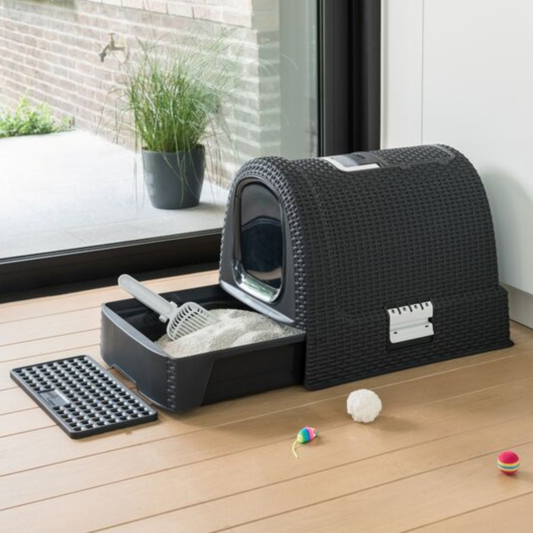 Cat Litter Box | PREORDER AUGUST