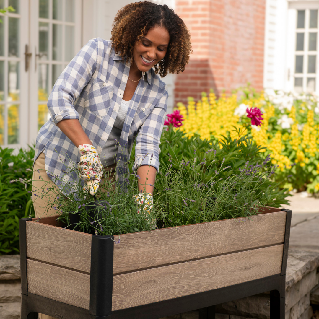 Signature Collection: Garden Bed Ashwood