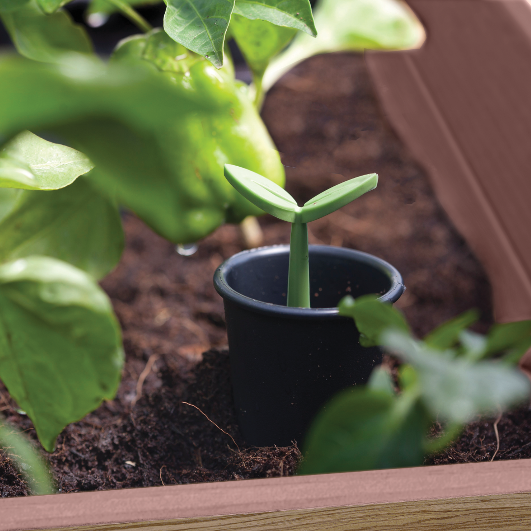 Signature Collection: Garden Bed Ashwood