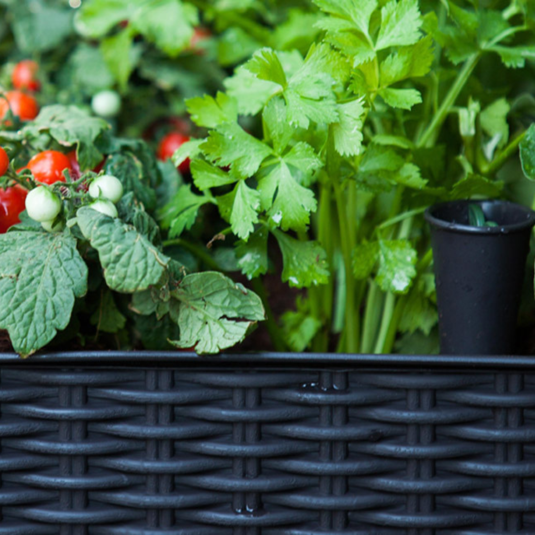 Easy Grow Raised Garden Bed