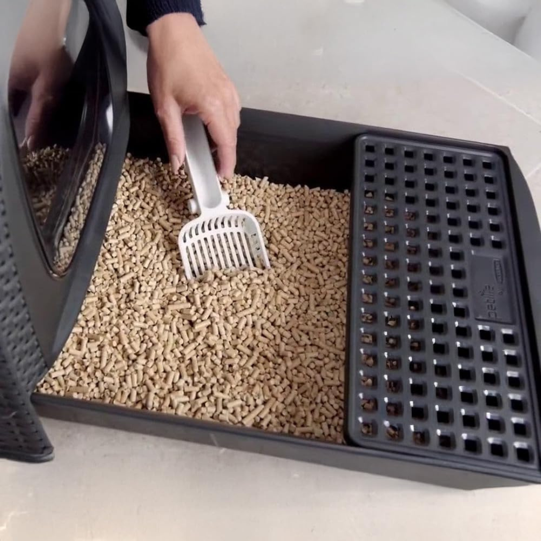 Cat Litter Box | PREORDER AUGUST