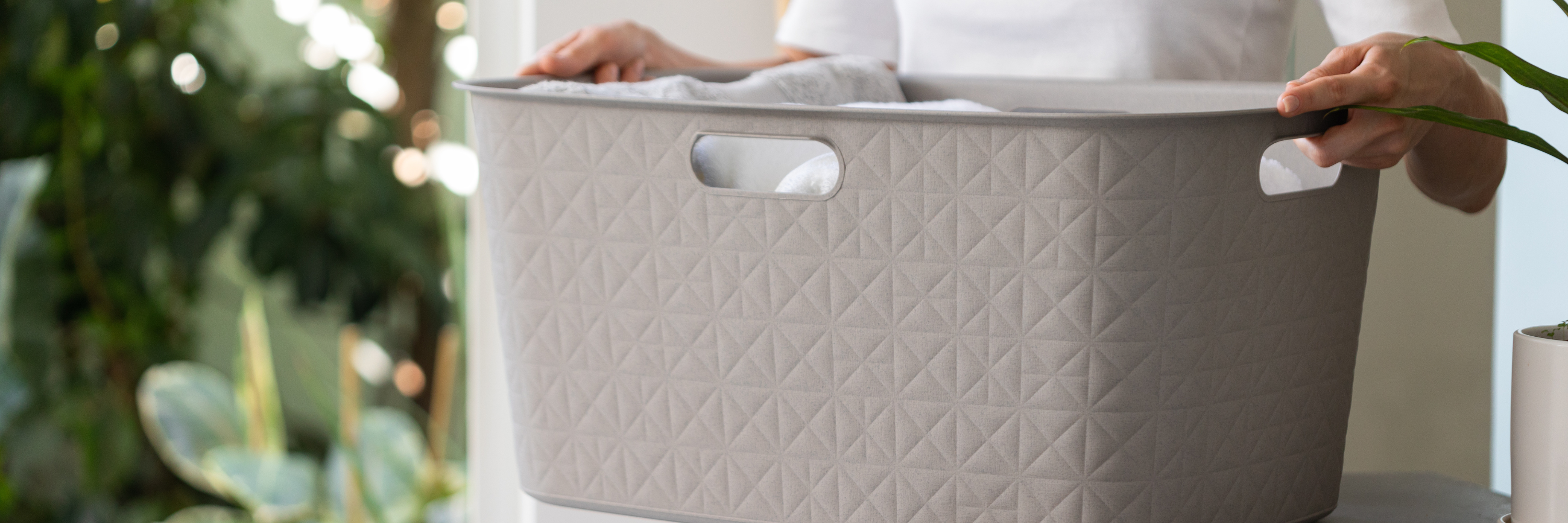 Laundry + Homeware