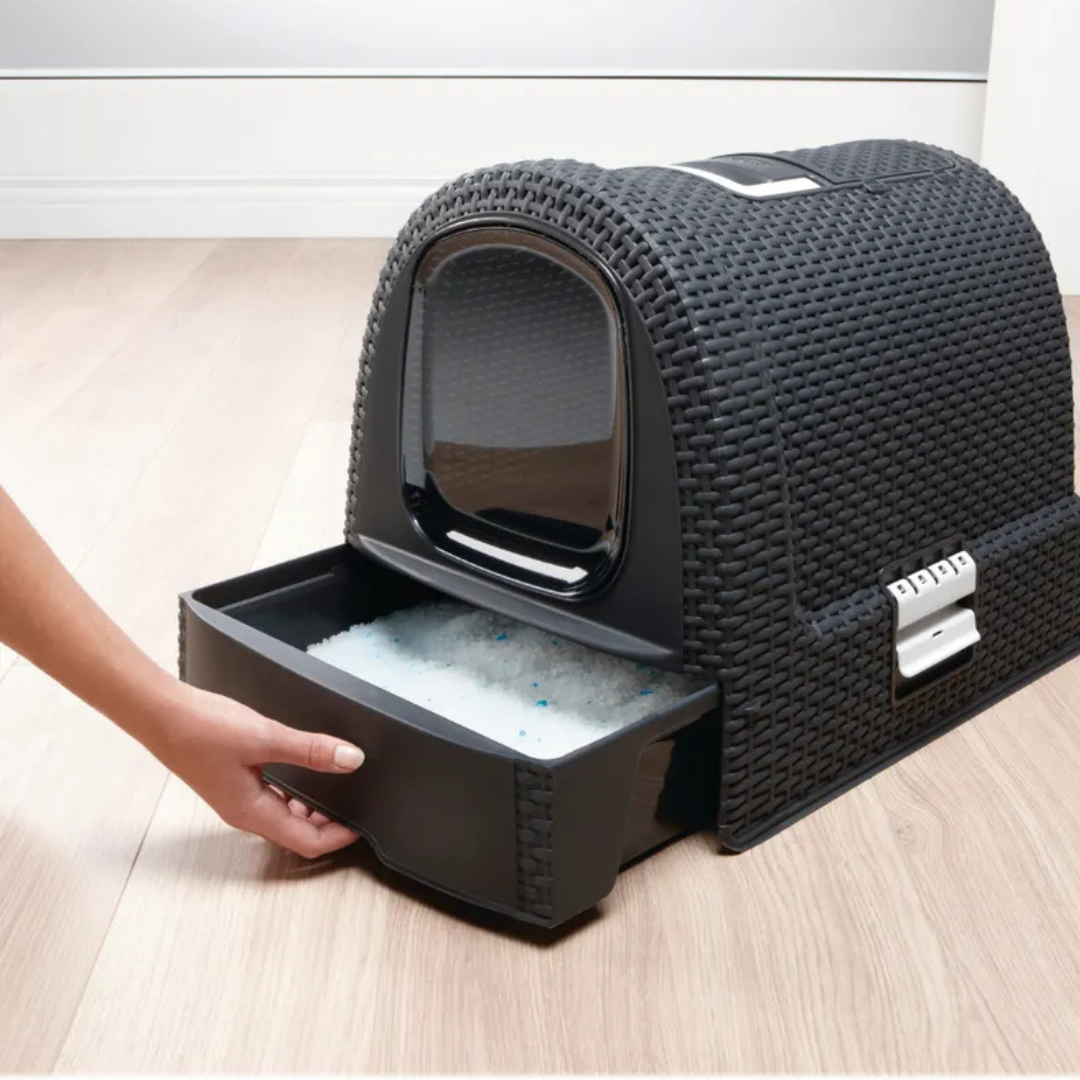 Cat Litter Box | PREORDER AUGUST