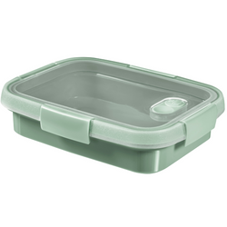Curver To Go Sandwich Box 0.7L Rect