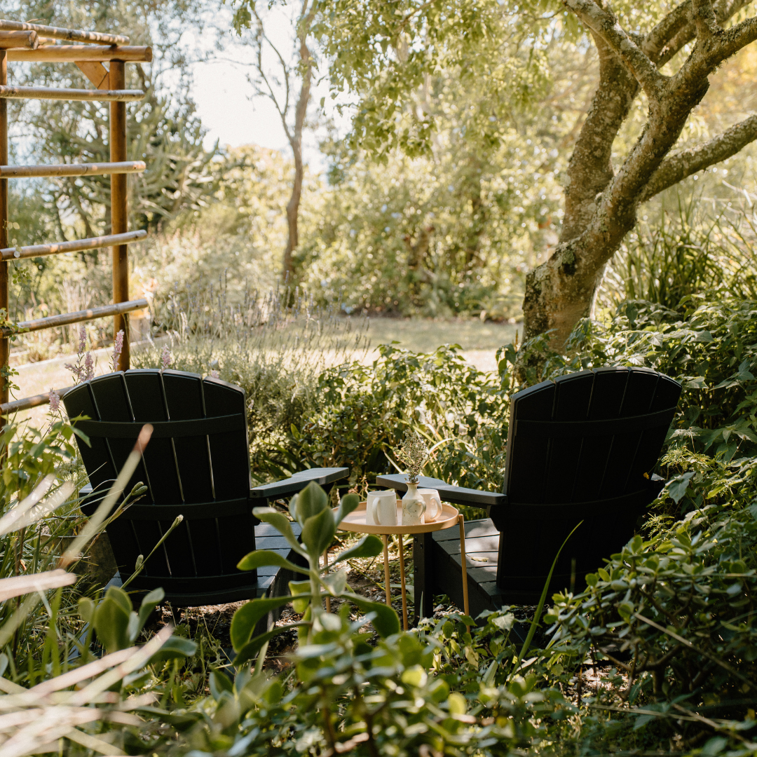 Troy Chair 2 Pack - Graphite