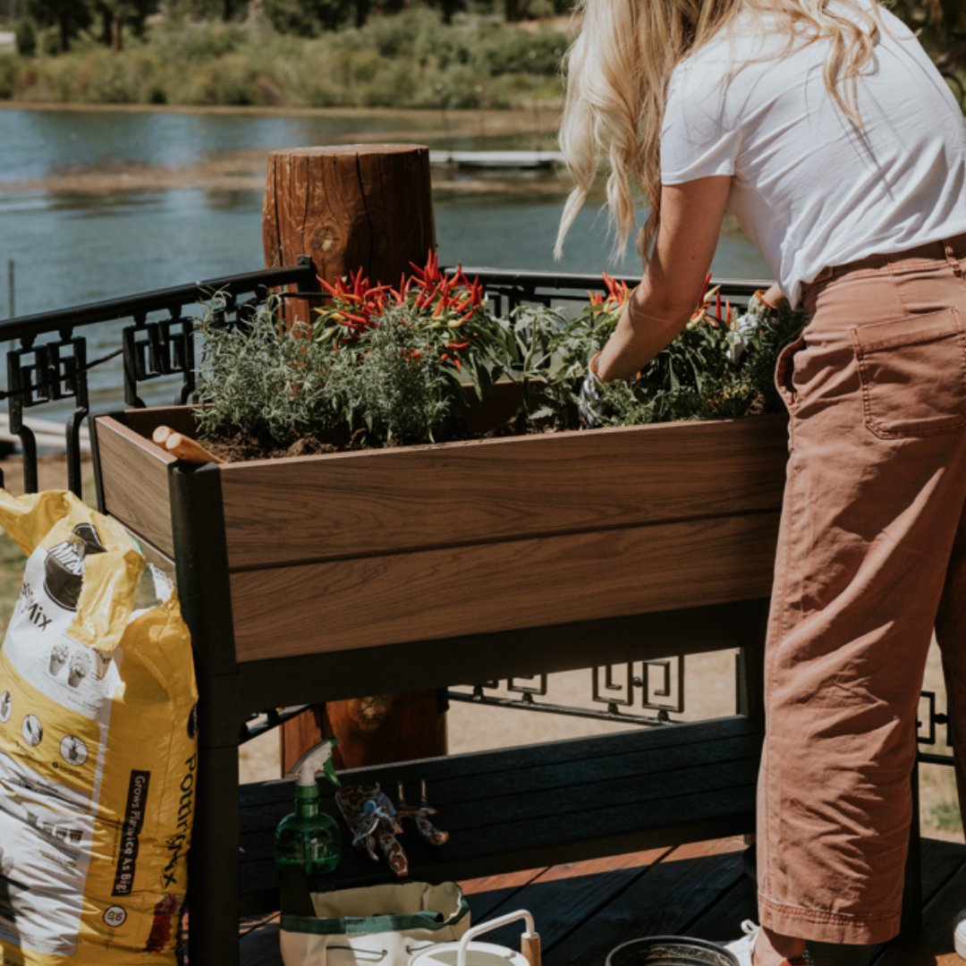 Signature Collection: Garden Bed Ashwood