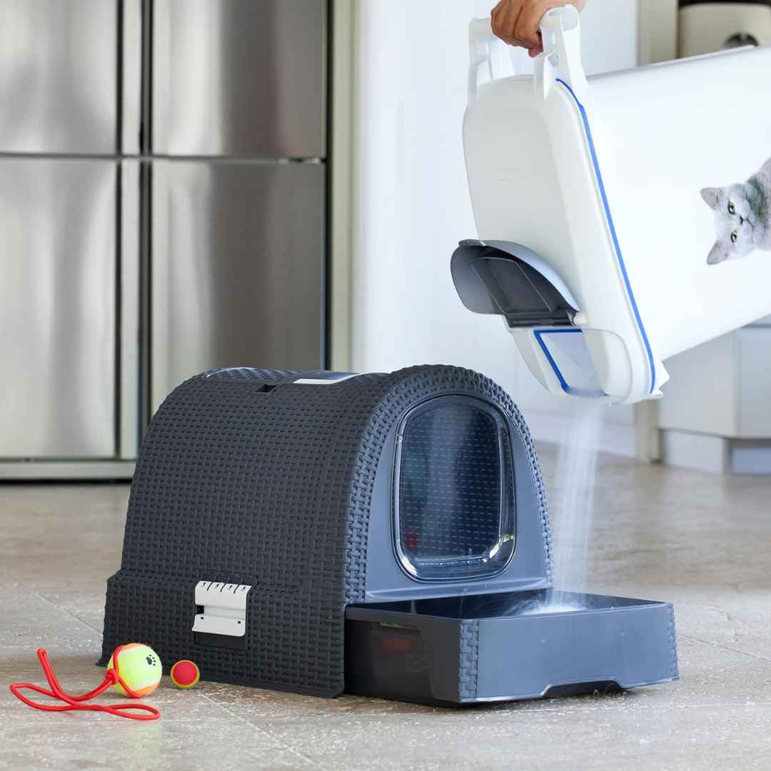 Cat Litter Box | PREORDER AUGUST
