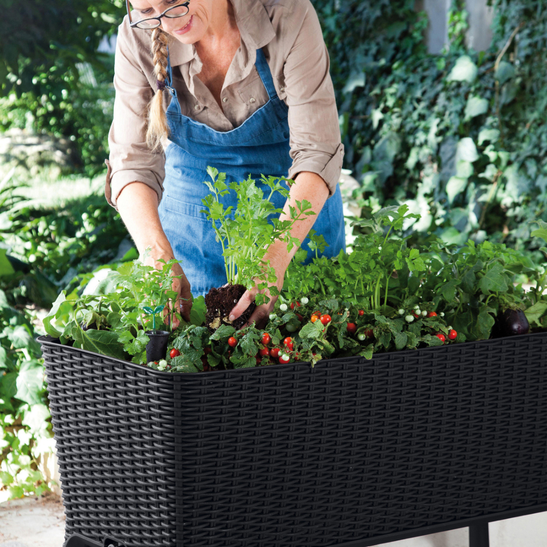 Easy Grow Raised Garden Bed