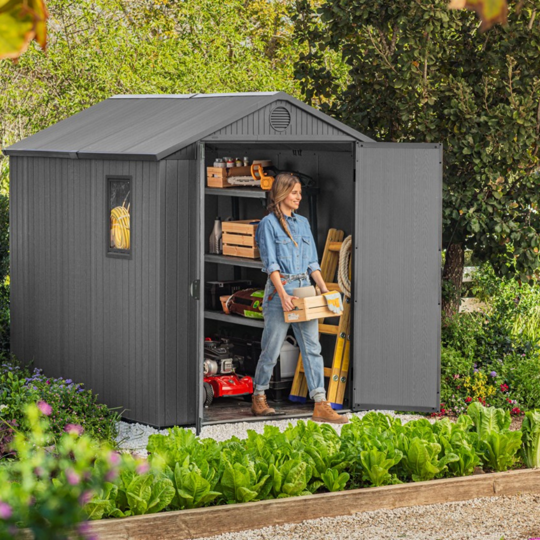 Darwin 6x8ft Shed