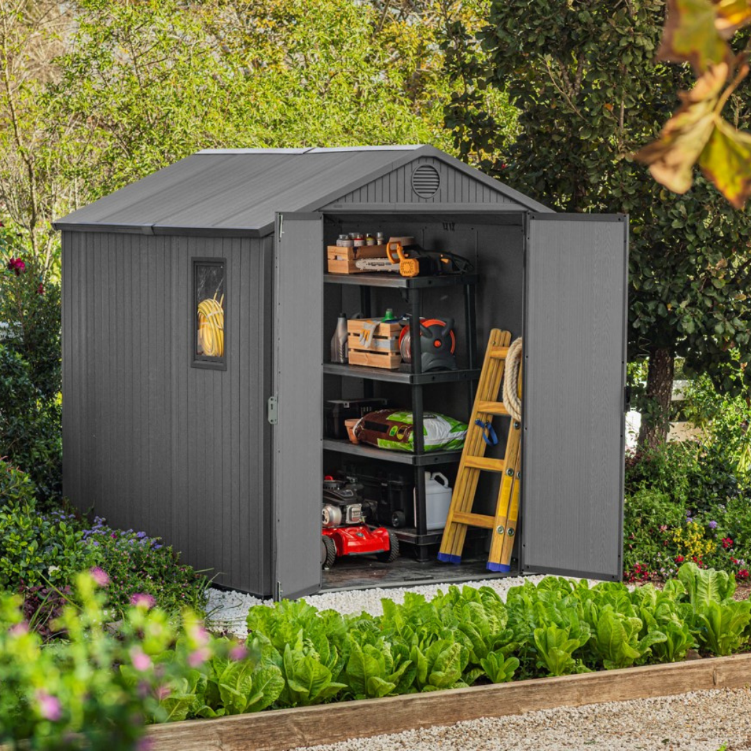 Darwin 6x8ft Shed