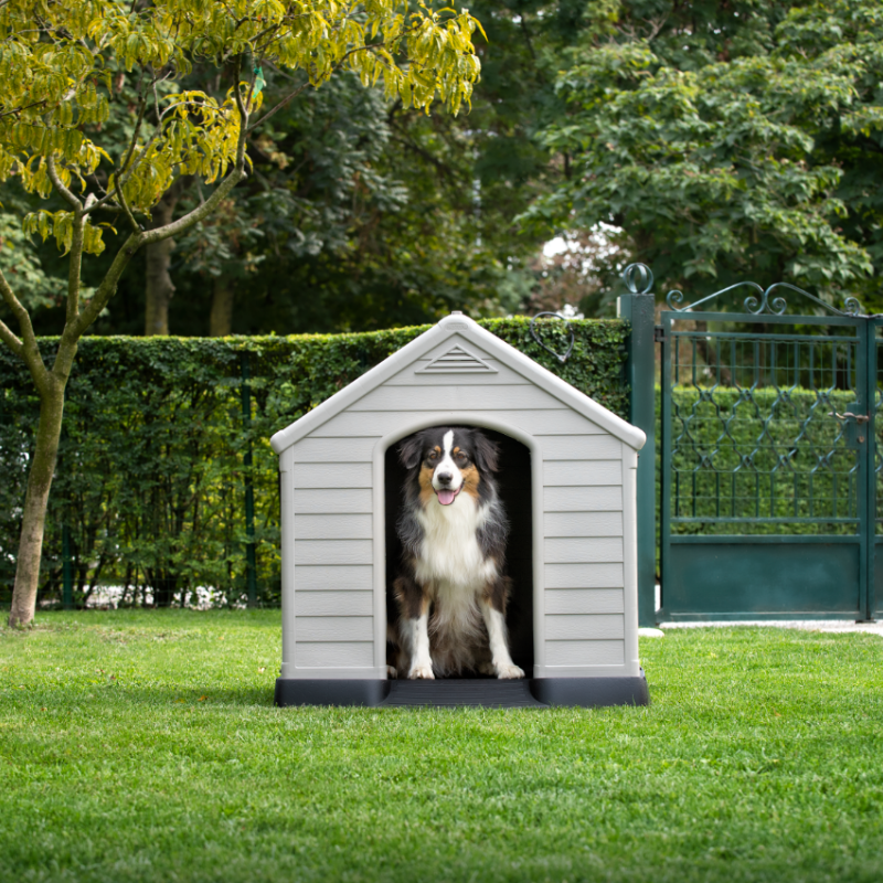 Plastic dog sales kennels builders warehouse