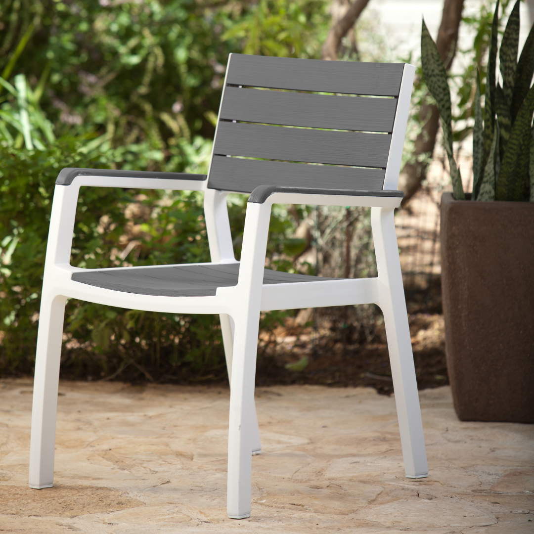 Harmony Dining Arm Chair