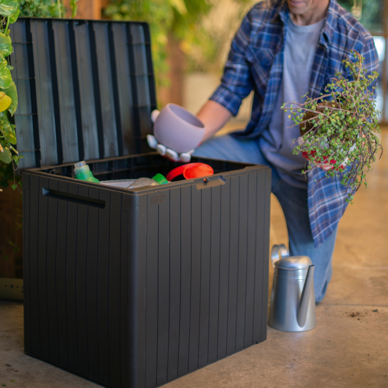 City Box | PREORDER NOVEMBER