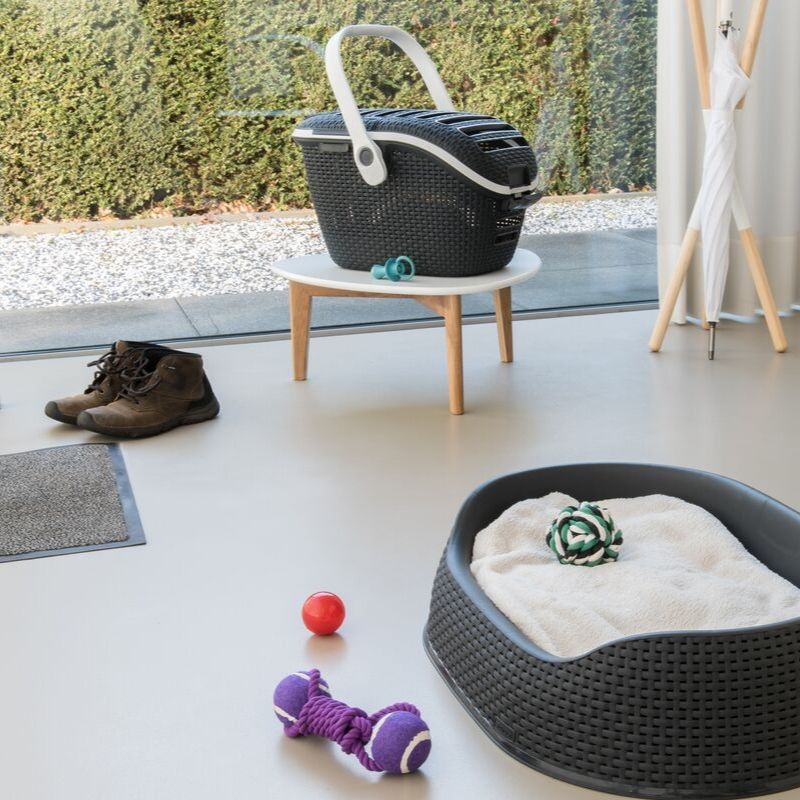 Pet Carrier | PREORDER AUGUST